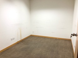 The Adelphi (D6), Office #192701742